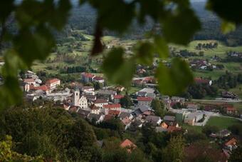Vineyard Cottage Zajc
