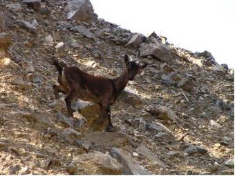 Apartamento Paralia Rooms