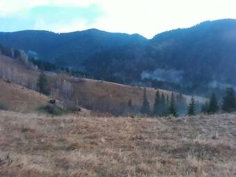 Apartamento ?????? ??????