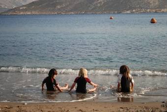 Aparthotel Harry's Paradise