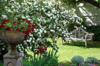 Bed & Breakfast Boardman House Inn