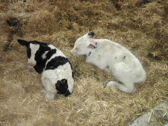 Agroturismo H�ttst�dterhof Familie P�tsch