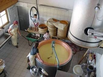 Hostal Gasthof Ochsen