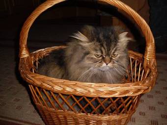 Apartamento Familieng�stehaus Ingrid