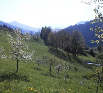 Agroturismo Bio-bauernhof Nichlgut