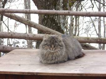 Agroturismo Panoramahof Gupf