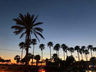 #705 Shores Of Madeira