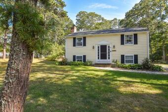 #524 - Next Beach Day