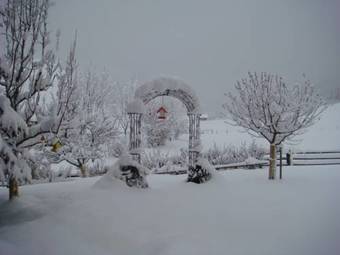 Apartamento Ferienwohnungen Holzer