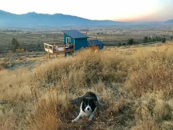 Modern Tiny House With Spectacular Views