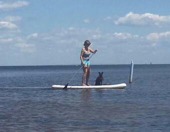 #7 The Squam Lake Cottage 1-3 People, 5 Min Walk To Harbor, Free Bikes, Boats, Firewood, Wifi