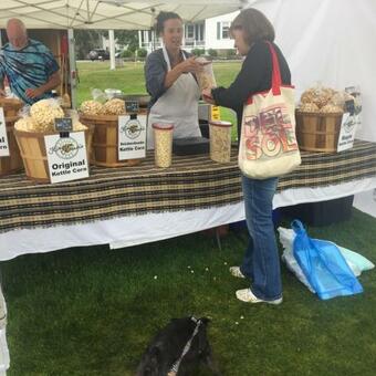 #4 The Brewster Pond Lodging 1-6 People, 5 Min Walk To Harbor, Free Bikes, Boats, Firewood, Wifi