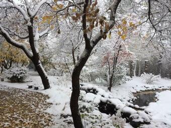 Charming Casa Verde At Lumina Gardens With Hot Tub Cottage