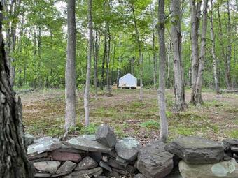 Tentrr Signature Site - Bramley Mountain Trail Camp