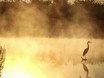 Tentrr - Orchard View