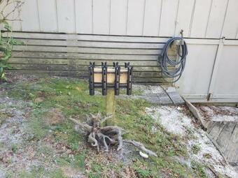 Spyglass Hill #17it-f