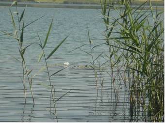 Apartamento Ferienwohnungen Valerie