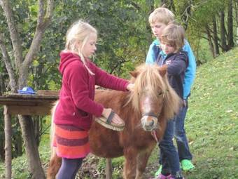 Agroturismo Bio Ferienbauernhof Greber