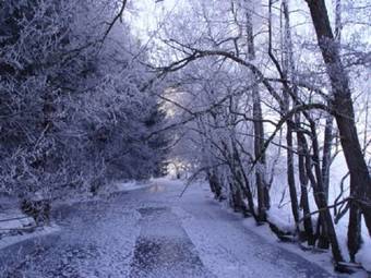 Hotel Garni Hochficht