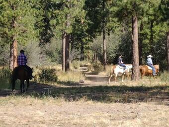 Heartline Ranch, Llc