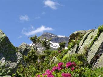 Hostal Hotel-pension Faneskla