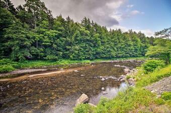 Award-winning Log Cabin, Top 5 In New England!