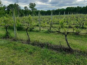 Tentrr Signature - Sleigh Hill Farm