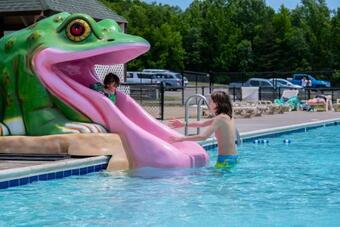 Hotel The Vintage Rv's At Wilderness Presidential By Tripforth