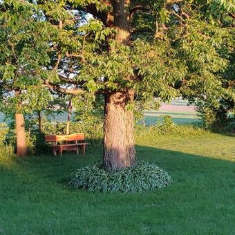 Motel The Usonian Inn Llc