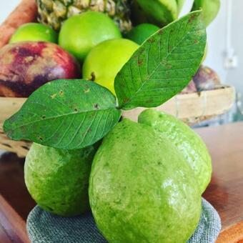 Eden House & Coffee Con Dao