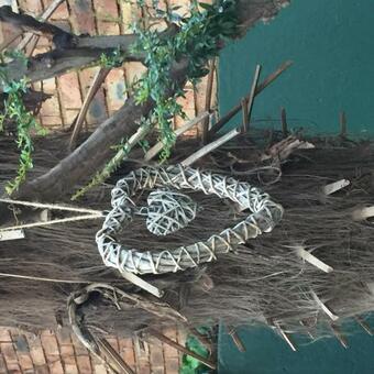 Hostal Elsje's Country Inn