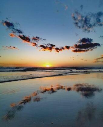 Apartamento Whalestone