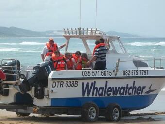 Apartamento House 52