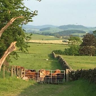 Hostal Chipperkyle Country House B&B