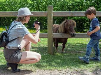 Special Lodge Tent With A Wood Stove, In The Achterhoek