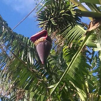 Albergue Novovento Coworking