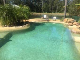 Blackwattle At Barrington Tops