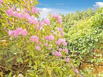 Charming Apartment In Weinsheim With Garden