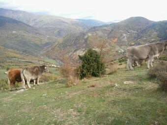 Agroturismo Casa Batlle