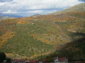 Apartamento Erasmion