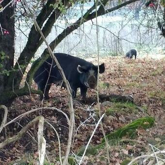 Hostal Guesthouse Electra And Jean Xceron