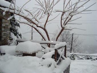 Hostal Iliovolo Guesthouse