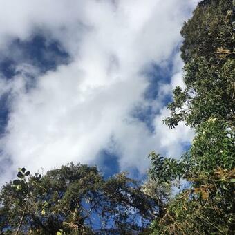 Hotel Hacienda Betania