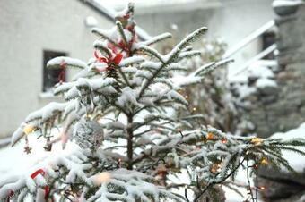 Apartamento Maison Cassius