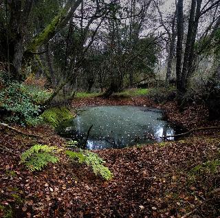 Hostal Casa Grande Da Fervenza