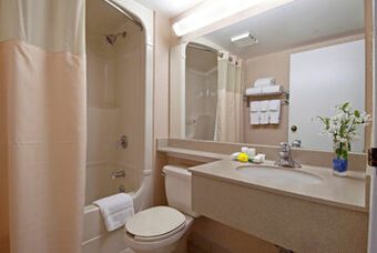 Hotel Holiday Inn Bloor Yorkville