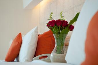 Artisan Family Hotels And Resorts Playa Esmeralda