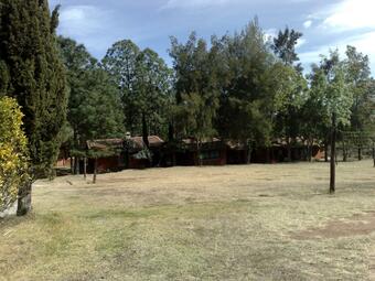 Caba�a N6 San Francisco