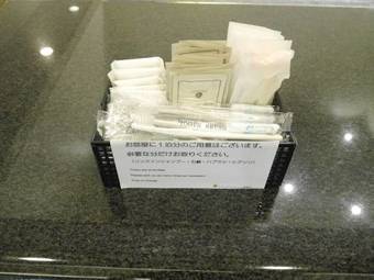 Aparthotel Flexstay Inn Shinurayasu