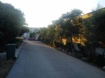 Apartment Punta Skala